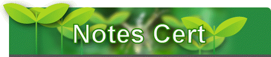 Notes Cert