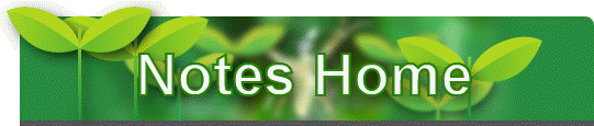 Notes Home
