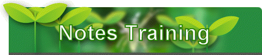 Notes Training